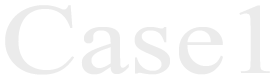 case1