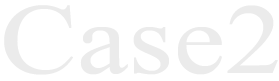 case2
